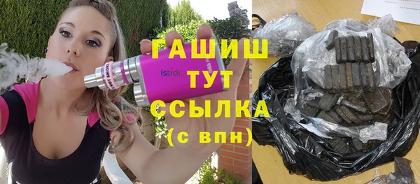 apvp Каменка